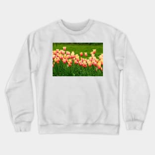 Orange yellow Tulips Crewneck Sweatshirt